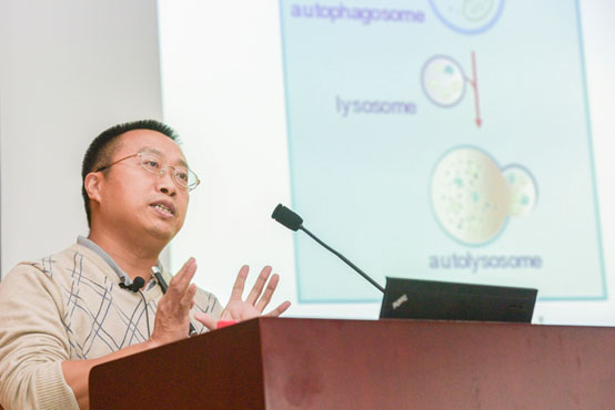 张宏研究员解读2016诺贝尔生理或医学奖