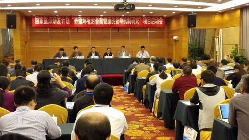会议现场 会议现场