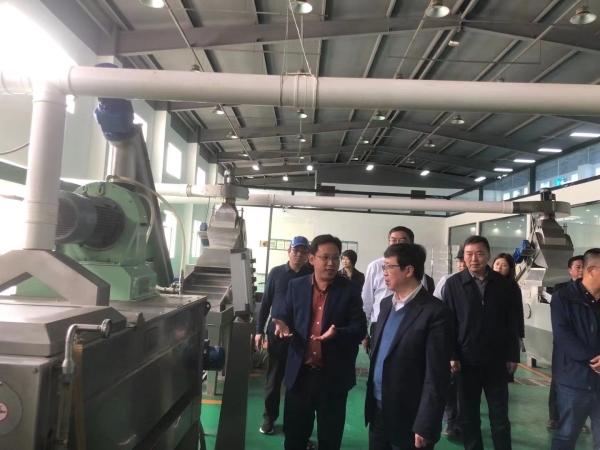 调研陇源丹谷油橄榄公司3 调研陇源丹谷油橄榄公司3