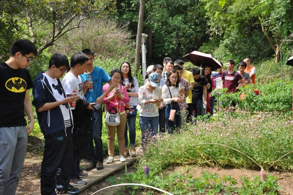 参观植物园 参观植物园