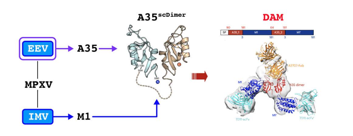 image-20240110130058-1.png