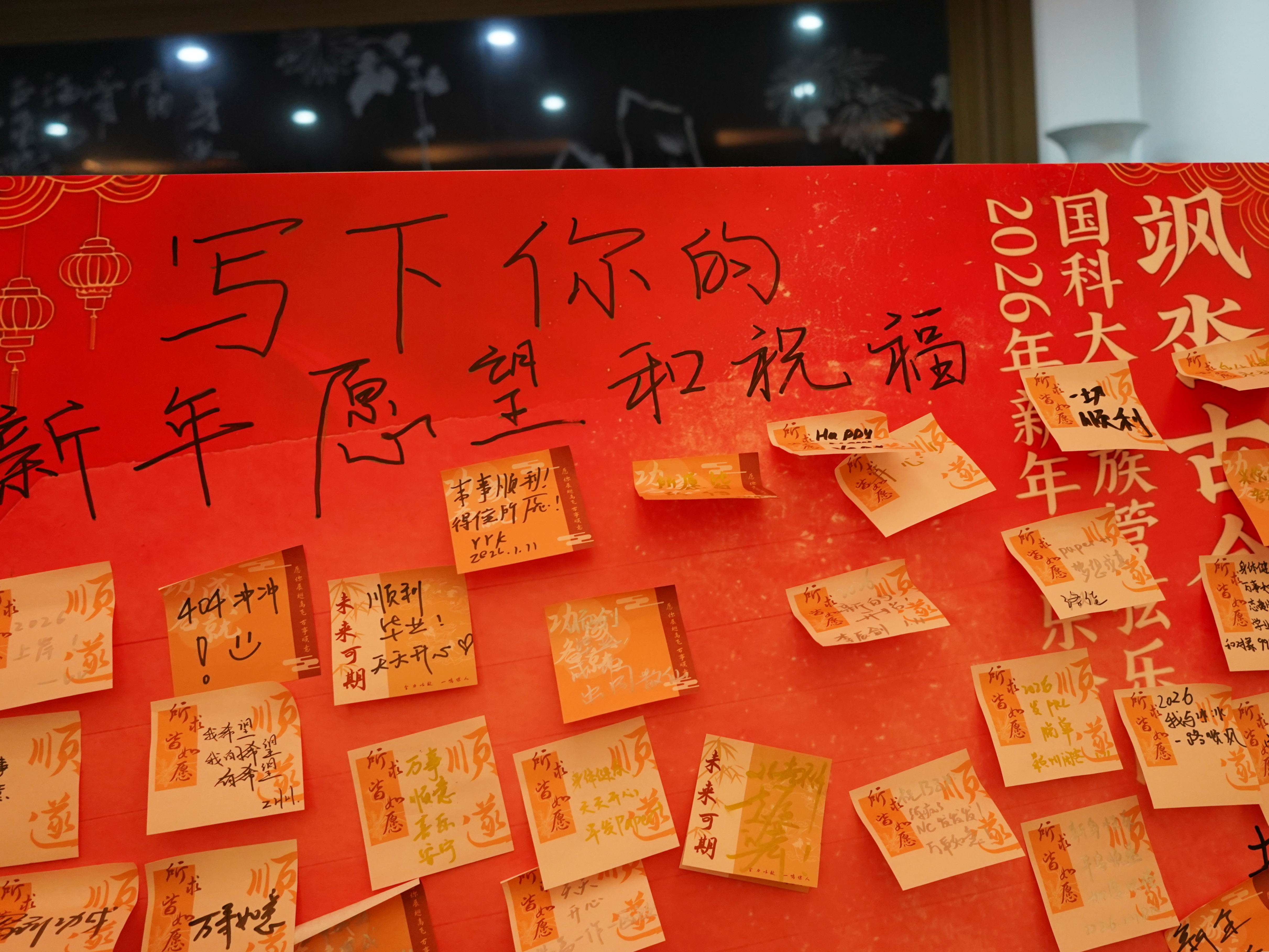 DSC08551_副本.jpg
