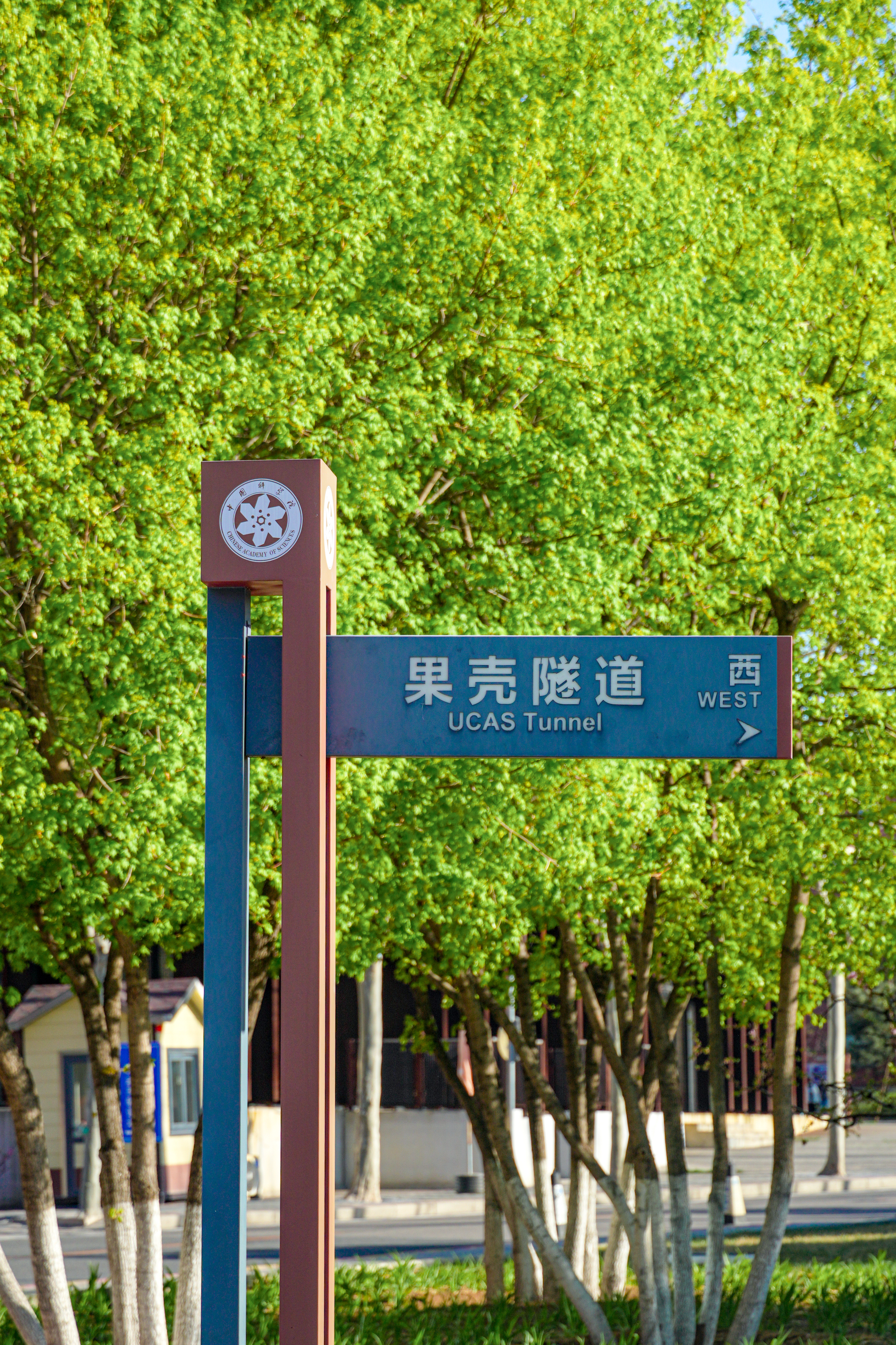 绿色-李洁妍-2.jpg